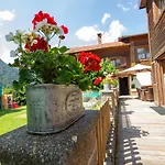 Helmreich-1 By Interhome * Sankt Gallenkirch