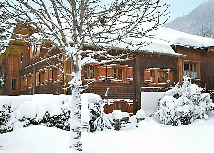 Appartement Helmreich-1 By Interhome Sankt Gallenkirch